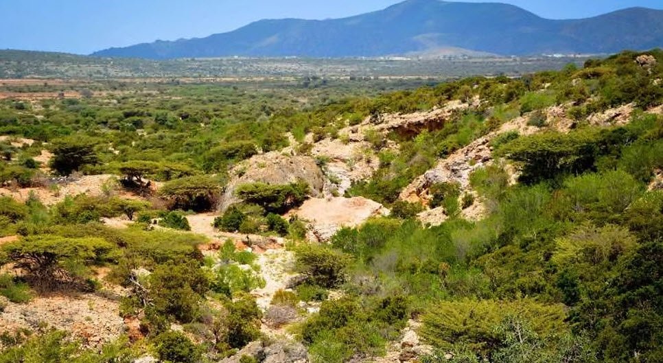 Sheikh Mountains, Awdal & Woqooyi Galbeed, Somalia